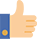 icon 10